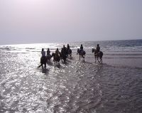 תמונה של רכיבה על סוסים בחוף מכמורת