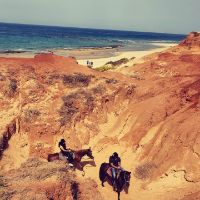 תמונה של טיול סוסים פרטי בחוף מכמורת