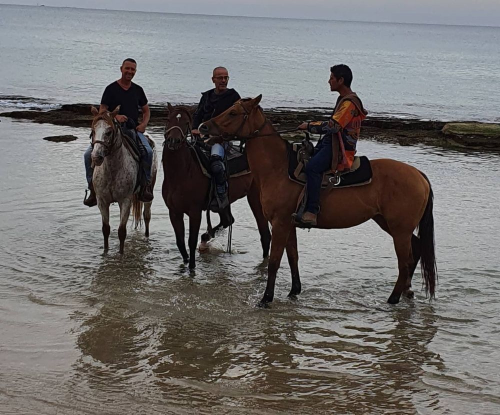 תמונה של 10 שיעורי רכיבה על סוס בחוף מכמורת