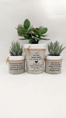 תמונה של 
