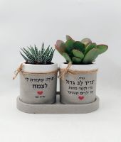 תמונה של סט עציצים על מגש אליפסה