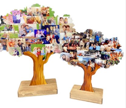 תמונה של עץ משפחה קטן וגדול