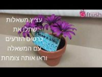 תמונה של הכנת עציץ משאלות