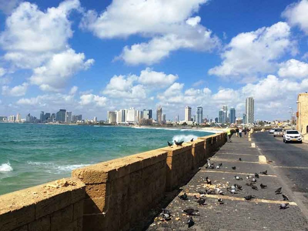 תמונה של חפש את המטמון ביפו העתיקה עם הנייד