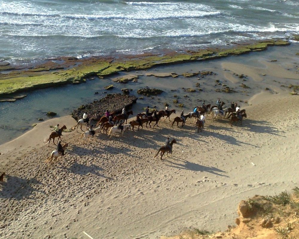 תמונה של רכיבה על סוסים בחוף מכמורת