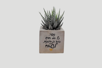 תמונה של עציץ בטון תעשייתי מרובע עם מסר מרגש לבחירה