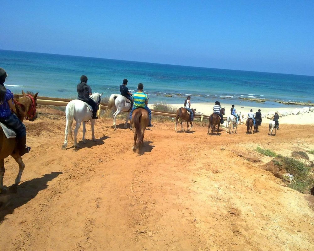 תמונה של טיול סוסים לקבוצות ימי גיבוש וכיף לחברות