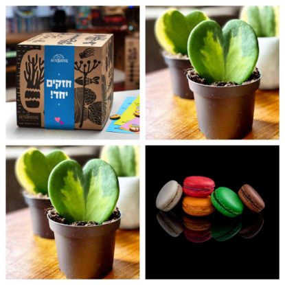 תמונה של חזקים יחד מכל הלב