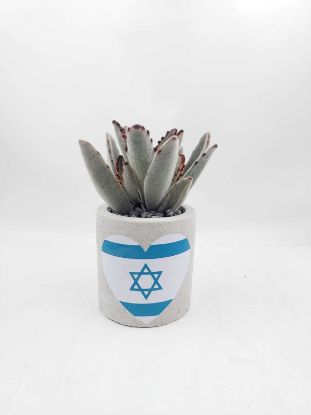 תמונה של מארז ביחד ננצח