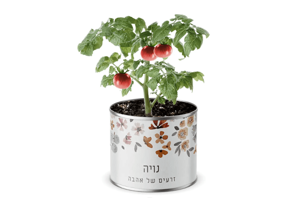 תמונה של עציץ בפחית