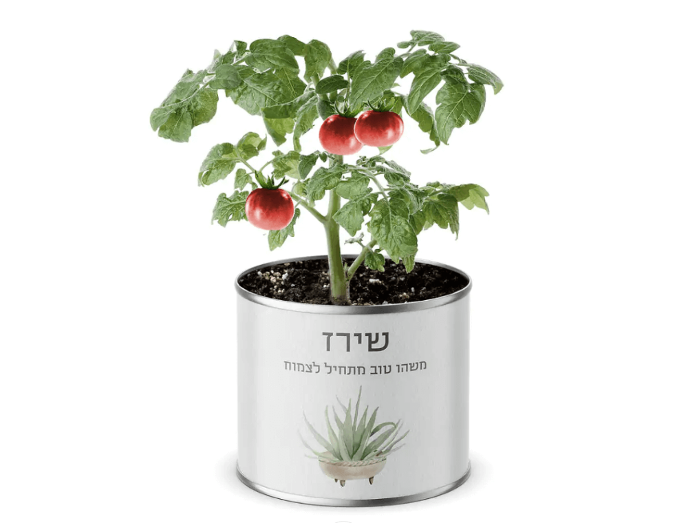 תמונה של עציץ בפחית