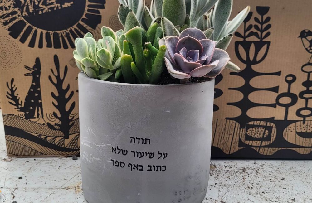 תמונה של עציץ סוקולנטים ממותג - צילינדר בטון