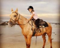 תמונה של 10 שיעורי רכיבה על סוס בחוף מכמורת