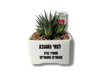 צמח הישראליות