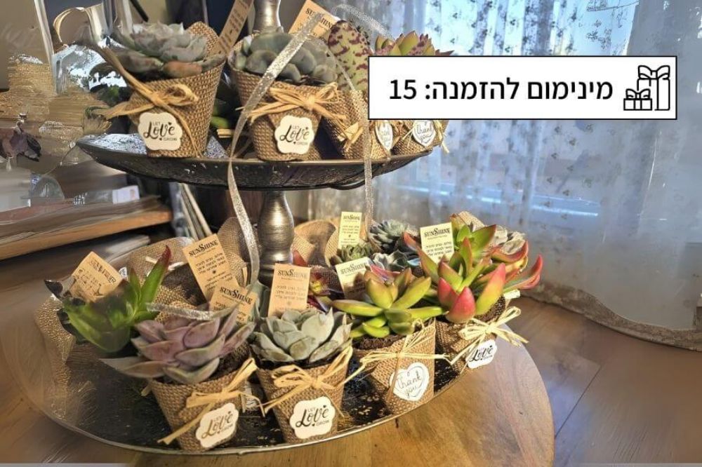 תמונה של סוקולנטים של השמחות - 15 יחידות 