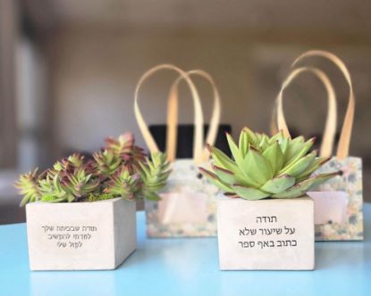 מרובע בטון M