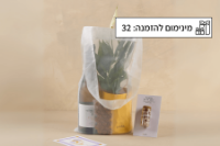 תמונה של המארז הפורח