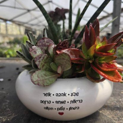 תמונה של מילה טובה בלבן