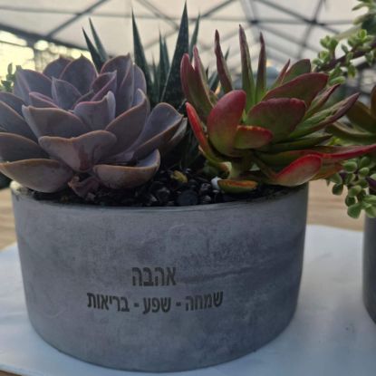 תמונה של ברכה טובה בסידור קערת בטון