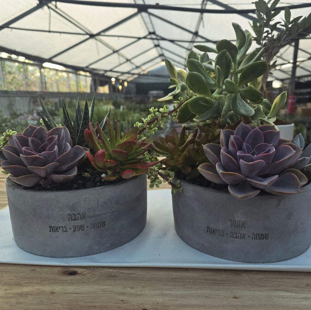 תמונה של ברכה טובה בסידור קערת בטון