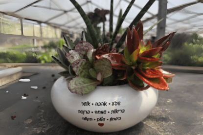 תמונה של מילה טובה בלבן