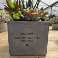 מרובע בטון XL
