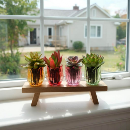 תמונה של Glass Petals