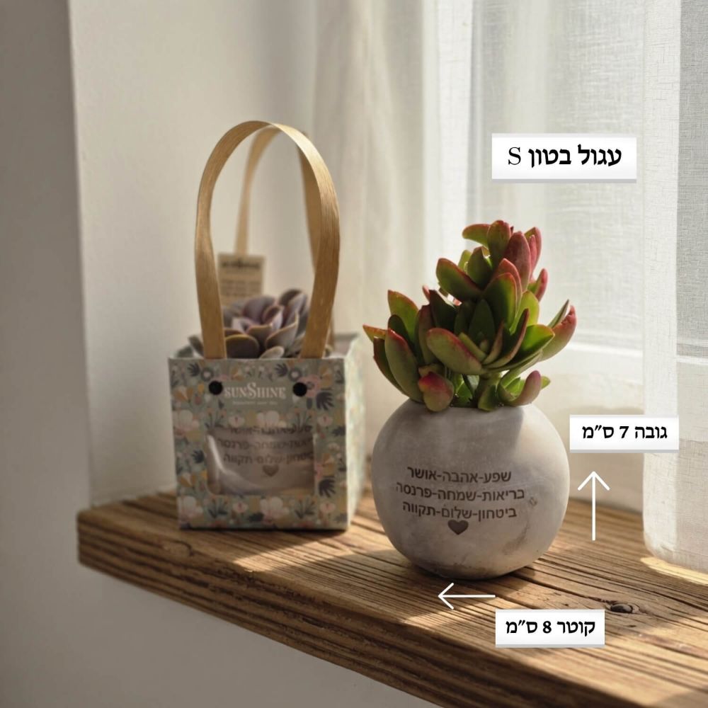 עגול בטון S