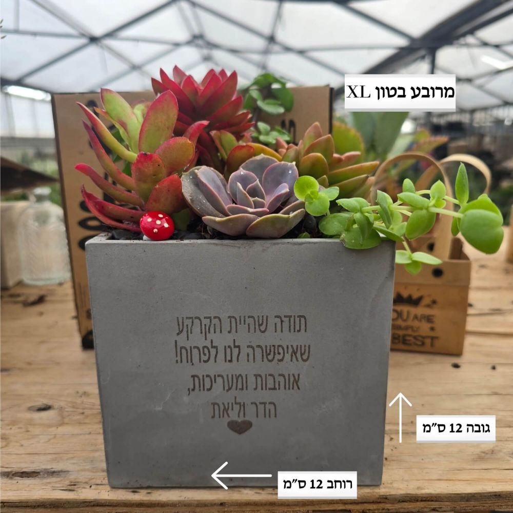 מרובע בטון XL