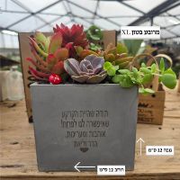 מרובע בטון XL