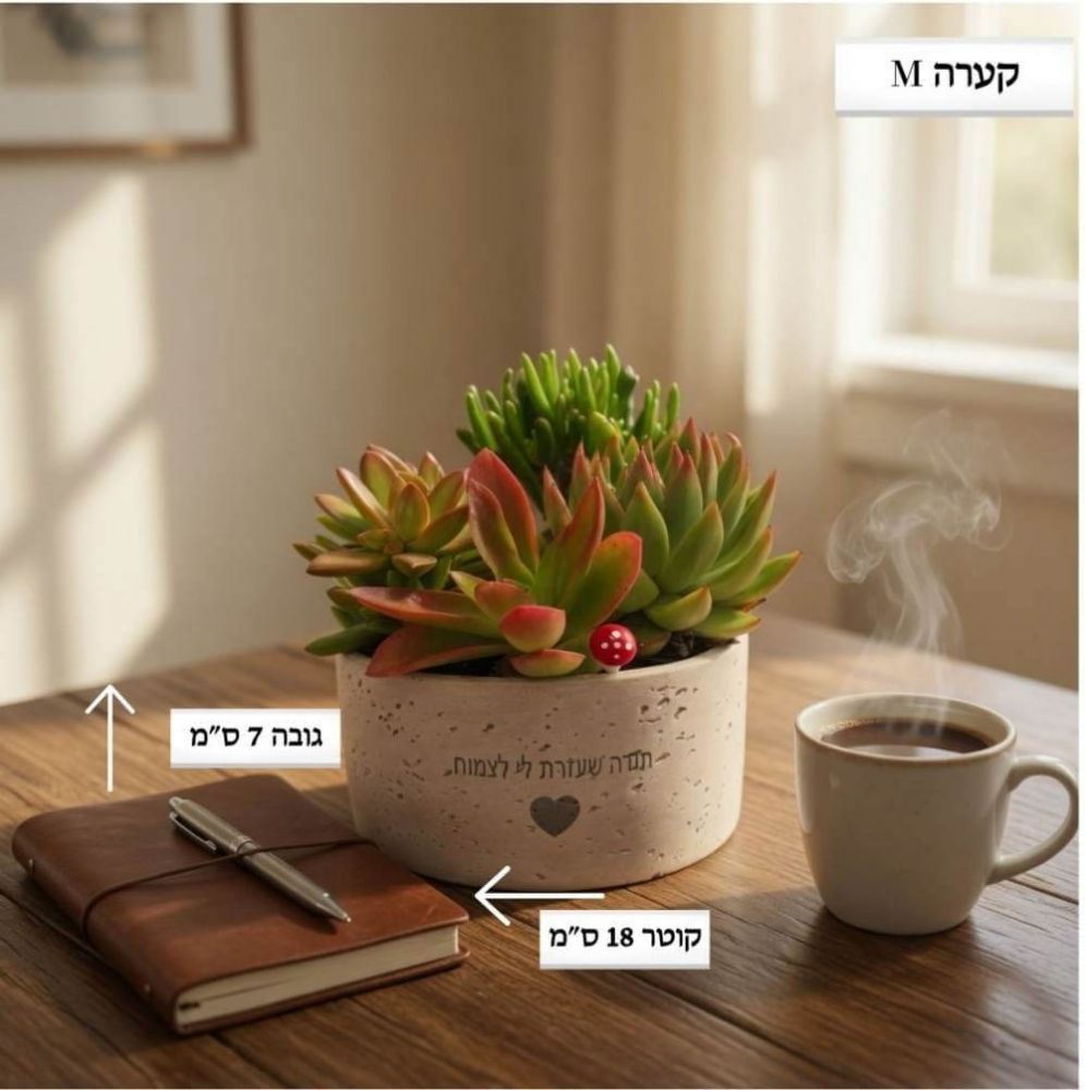 קערה M