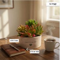 קערה M