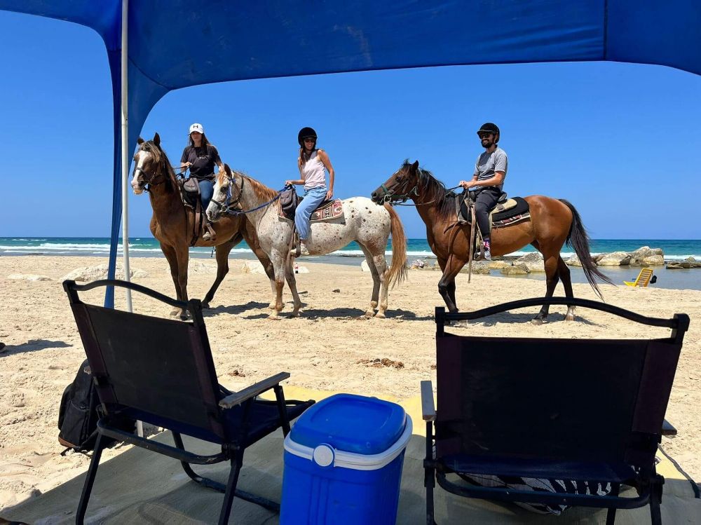 תמונה של דייט סוסים על הים